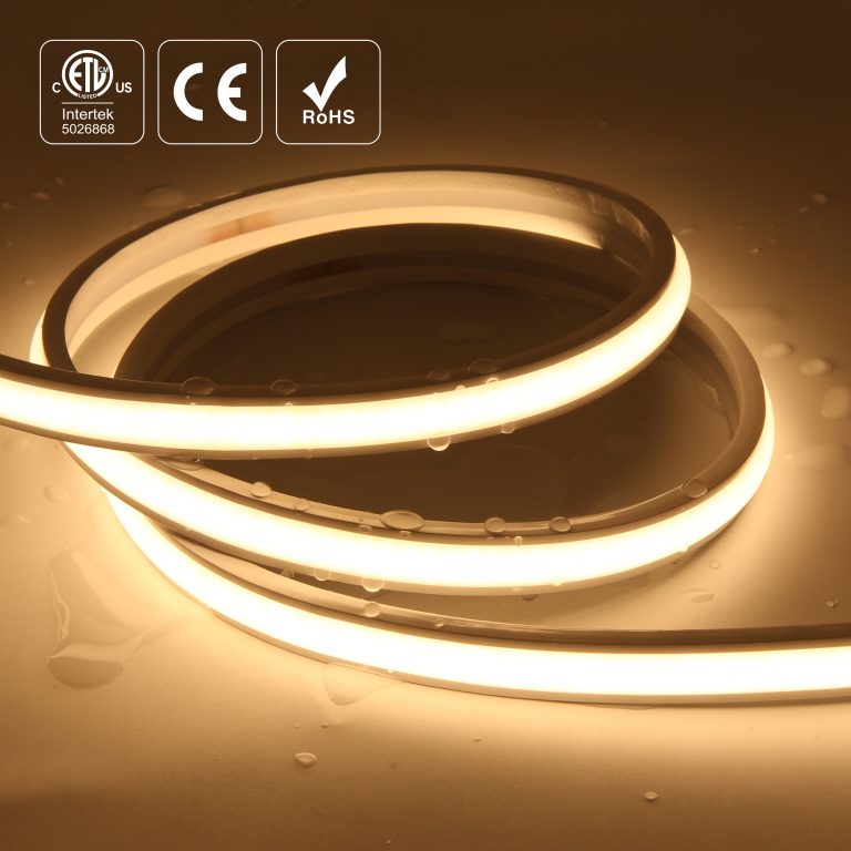 COB2216W288-220V12 2